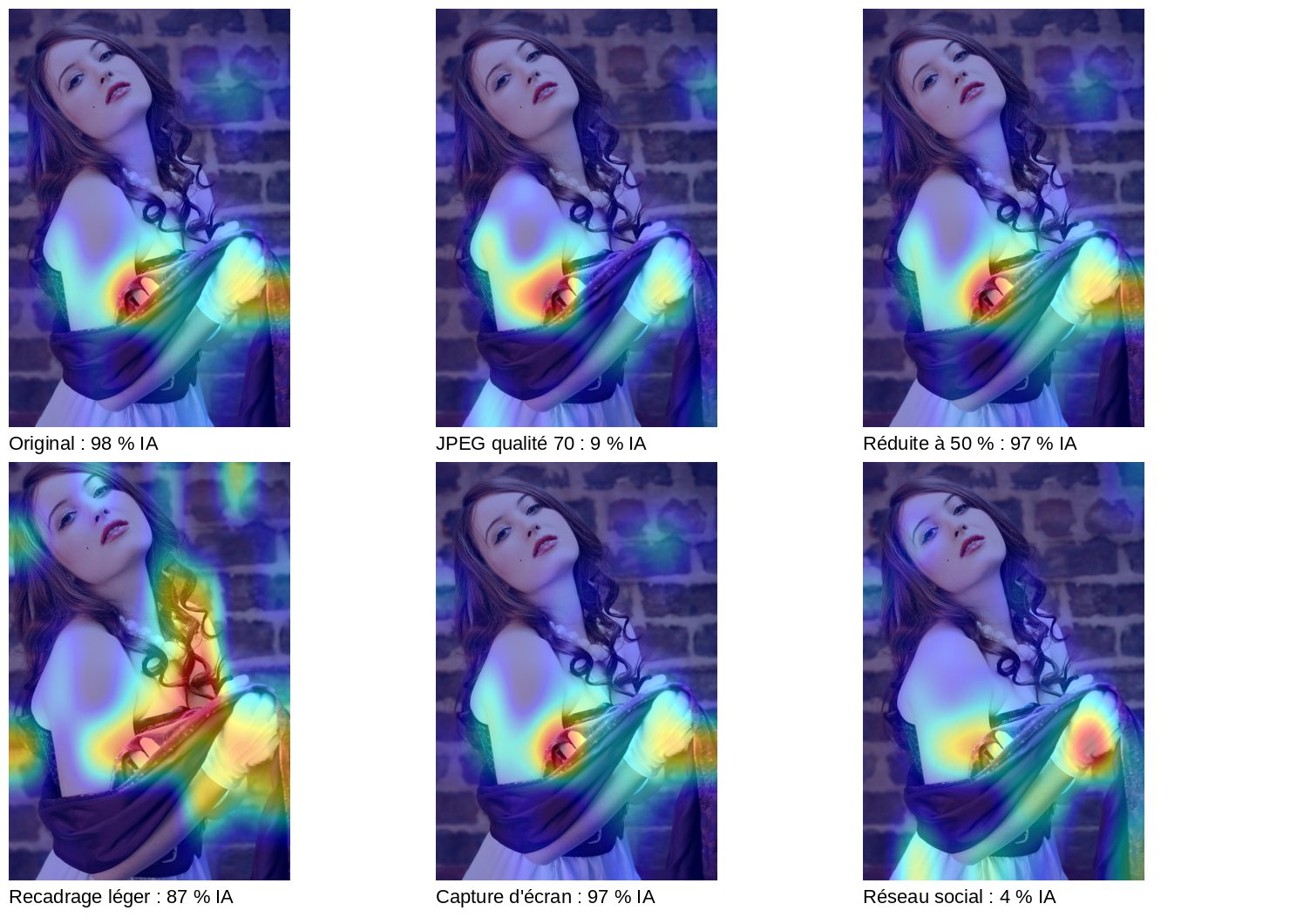 Six versions d'une vraie photo de mode avec la carte de chaleur du détecteur et le score obtenu